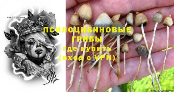 гашик Верхнеуральск